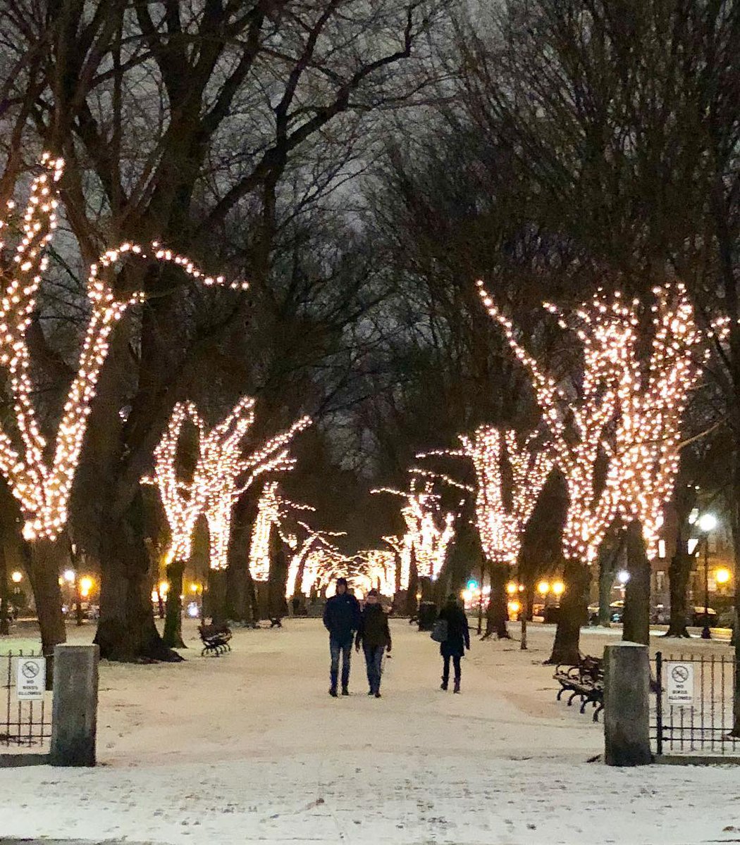 Boston can be a wonderland in winter! Isn't it time you planned a trip?

📷 westlakegirl