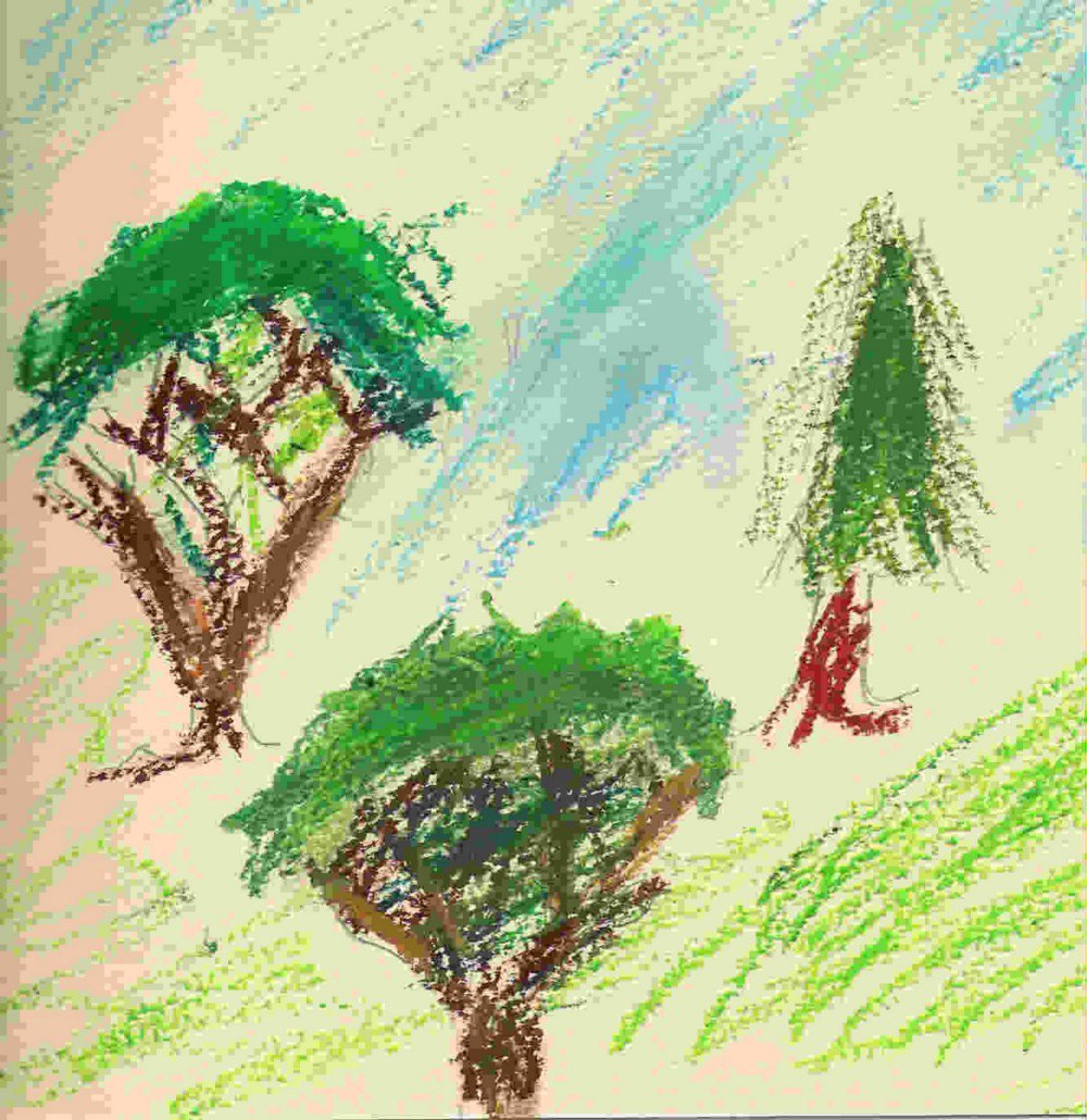 AlbCarrascal's tweet photo. Random forests explained intuitively https://t.co/WzwXFYp5wq #machinelearning https://t.co/vYOTvsfQvK