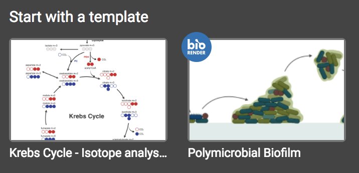 justineldees's tweet image. I love that one of the templates on BioRender (biorender.com) is a polymicrobial biofilm!
#microbes #polymicrobial #biofilms