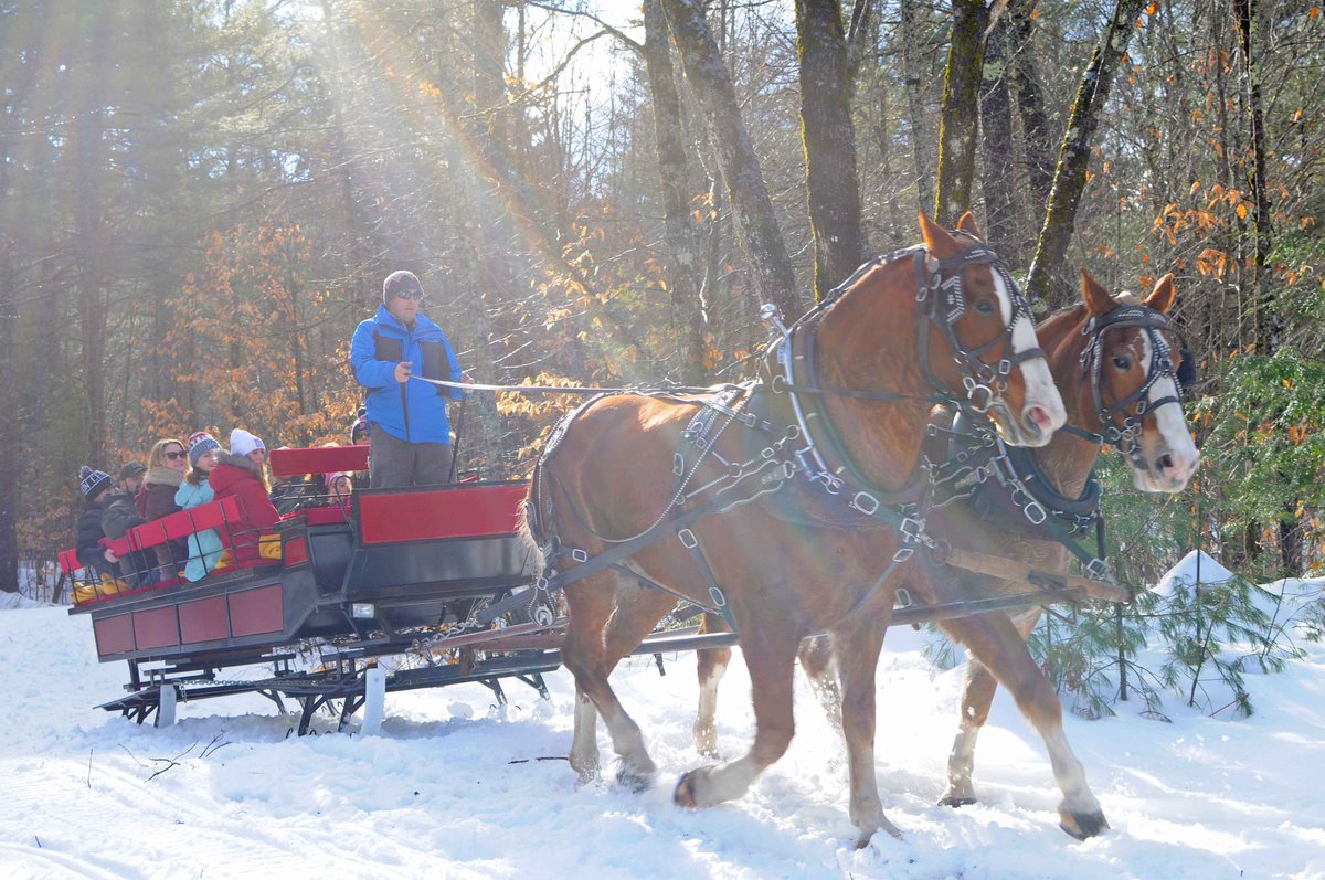PuritySpring's tweet image. The weather this coming Saturday looks like it will be a perfect opportunity for a winter adventure through the wooded trails and snowy fields on a horse-drawn sleigh. Make your reservation today by calling 603-367-8896. Complete details here, kingpine.com/activities/oth… #classicfun