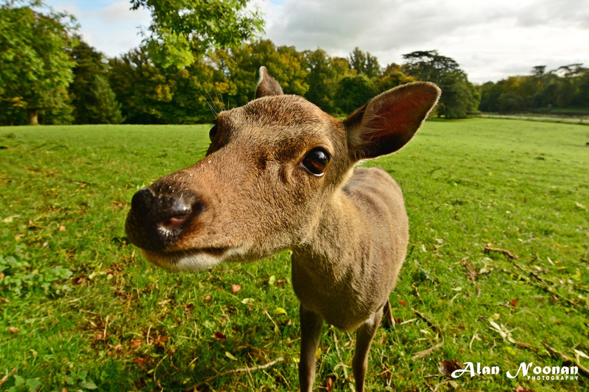 Alan Noonan Photo tweet media