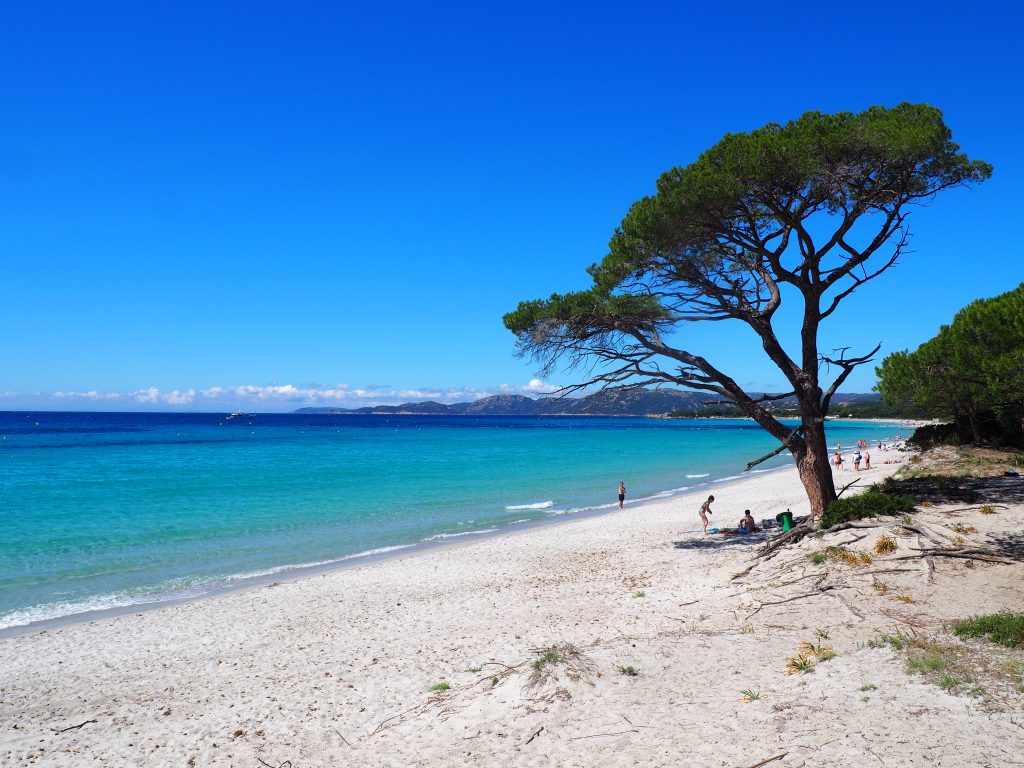 BlogAllantVers's tweet image. Sélectionner les photos de la #Corse pour le prochain article sur le #blog et faire le plein de bleu 💙