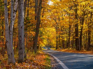 Anyone have a ride we should all take during the riding season? The picture below is from the Tunnel of Tree, in Michigan. Love to hear of new trips to take on the Harley. longrideshields.com  #rideacrossamerica #LRSshields #tunneloftrees