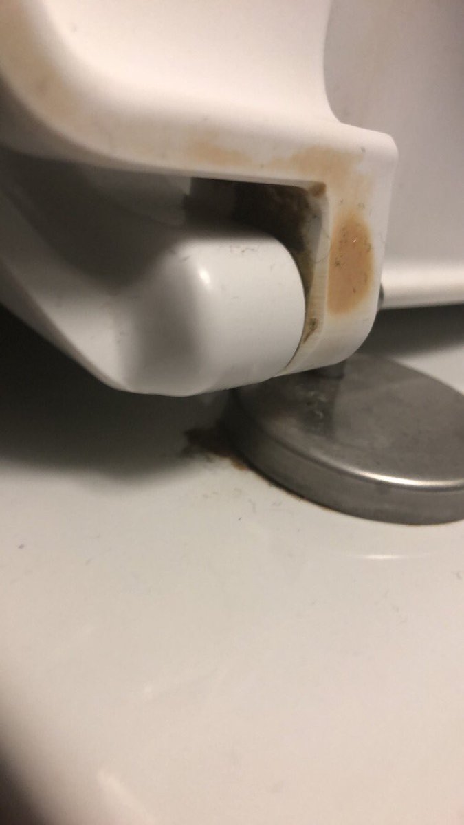 Sister_Pledge's tweet photo. #Abergavenny @waitrose ladies toilets today. Yet again disgusting. Still waiting for a reply to email sent on 24/01/2019 π€·πΌββοΈ itβs a joke guys!!! #betterbogscampaign #cleanbomb @DavidTCDavies @MonmouthshireCC https://t.co/utj9O8FZJL