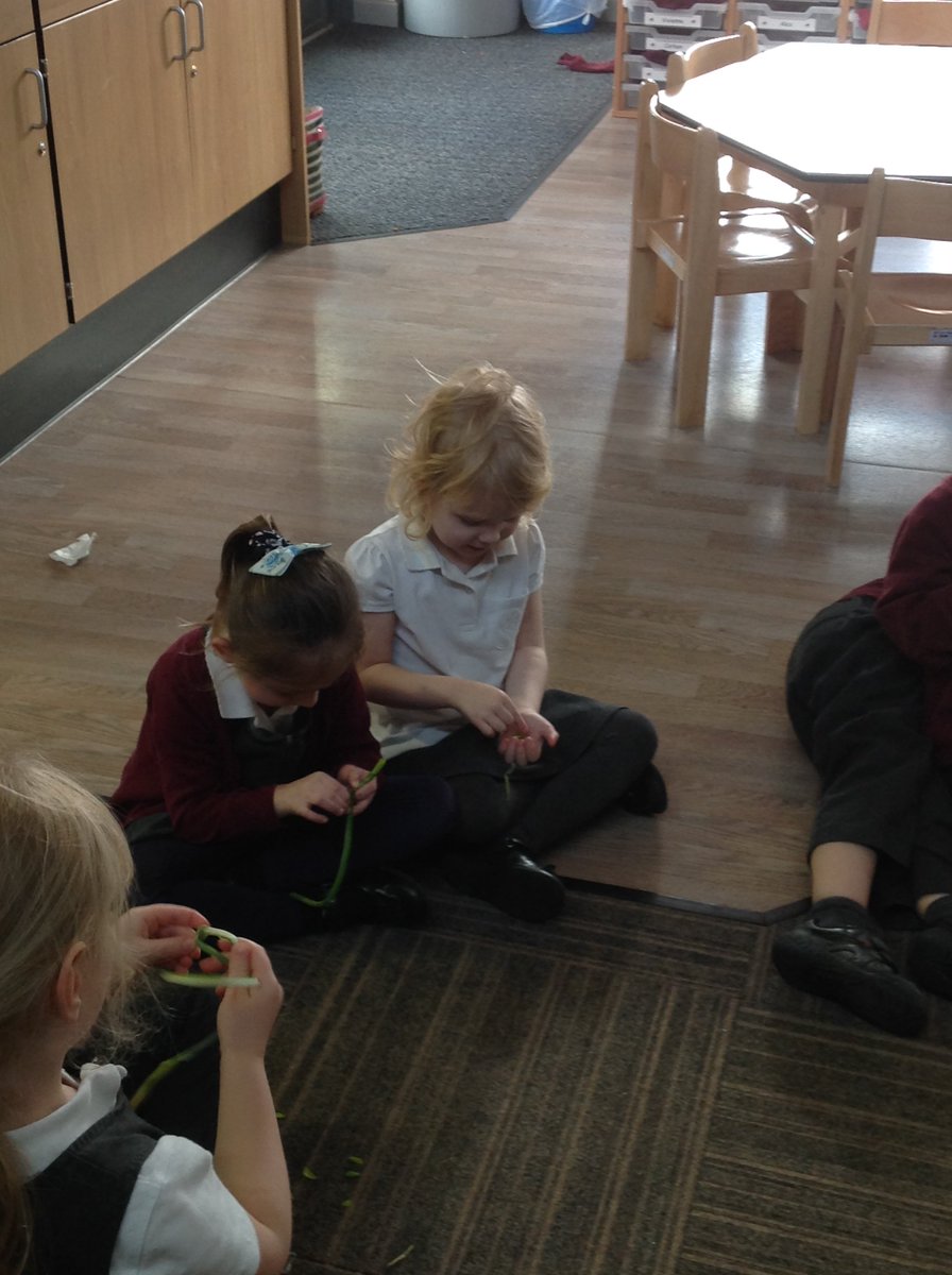 ButterflyIOE's tweet photo. Butterfly Class have been exploring and investigating what a Daffodil looks like when dissected. They explored the different parts of the plant, the scent of the flower and made observations. https://t.co/V9nBYXsaji
