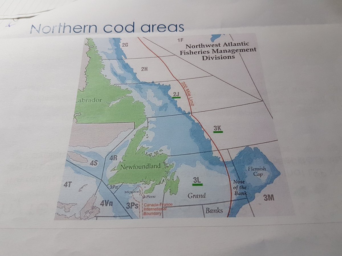 TheBroadcastCBC's tweet photo. How much do you know about NAFO? North Atlantic Fisheries Organization marks 40 years this year. @todd_obrien give us a review and an update at 6:05 / 5:35 pm. #fish #ocean #fishmanagement #rules #overfishing https://t.co/P2BImKdVJ5