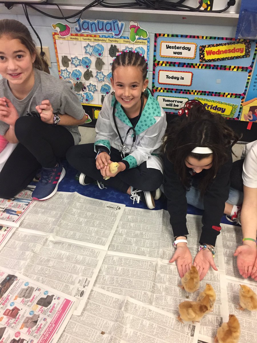 Thanks Mrs. Ford! We loved visiting 🐥