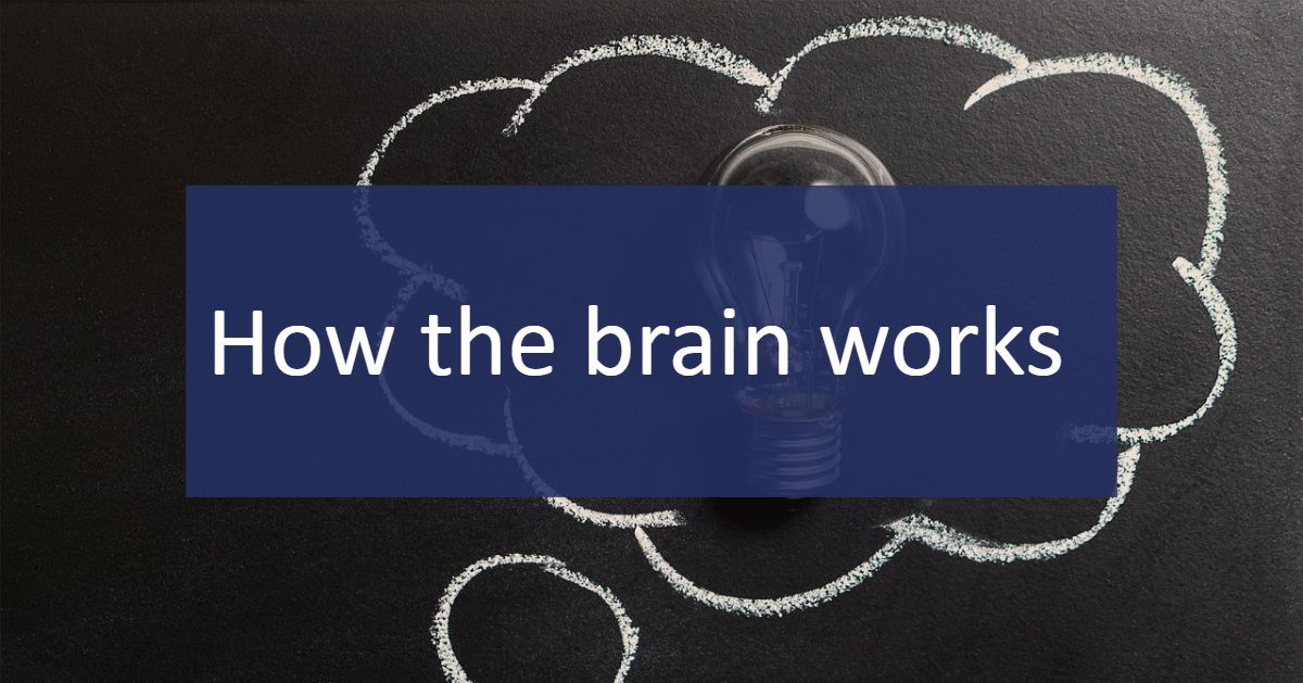 encephalitis's tweet image. How does the brain work - and how is it affected by encephalitis?

A factsheet by Dr Ava Easton, the Chief Executive of the Encephalitis Society. encephalitis.info/how-the-brain-…