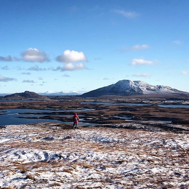 WildUists tweet media