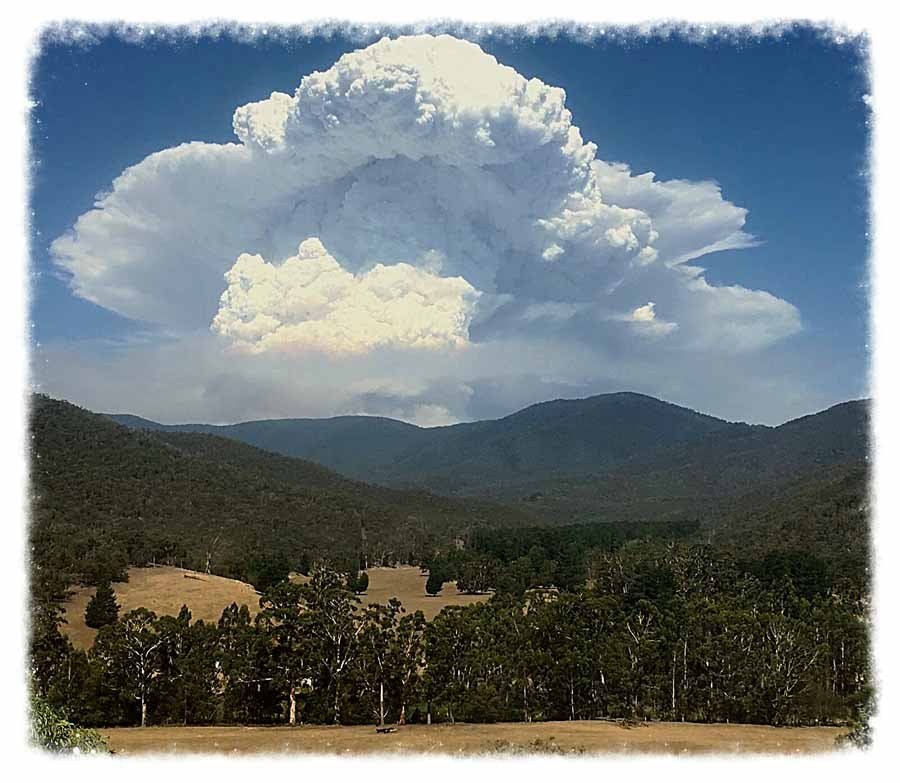 wildfiretoday's tweet image. Pyrocumulus cloud near Timbarra, Victoria.
#PyroCu #wildfires wildfiretoday.com/2019/01/31/pyr…