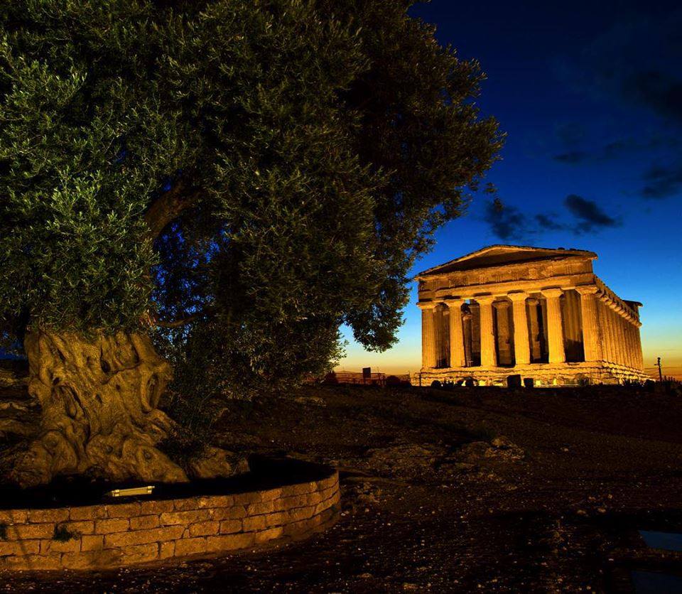 The Valley of the Temples, the largest archaeological site in the world, tells a thousand-year story began in the 6th Century B.C.  | One of Sicily’s most famous historical... 👉 romeanditaly.com/package/valley… #instalike #italy #romeanditalytours #discoveritaly #instaitaly #SicilyTour
