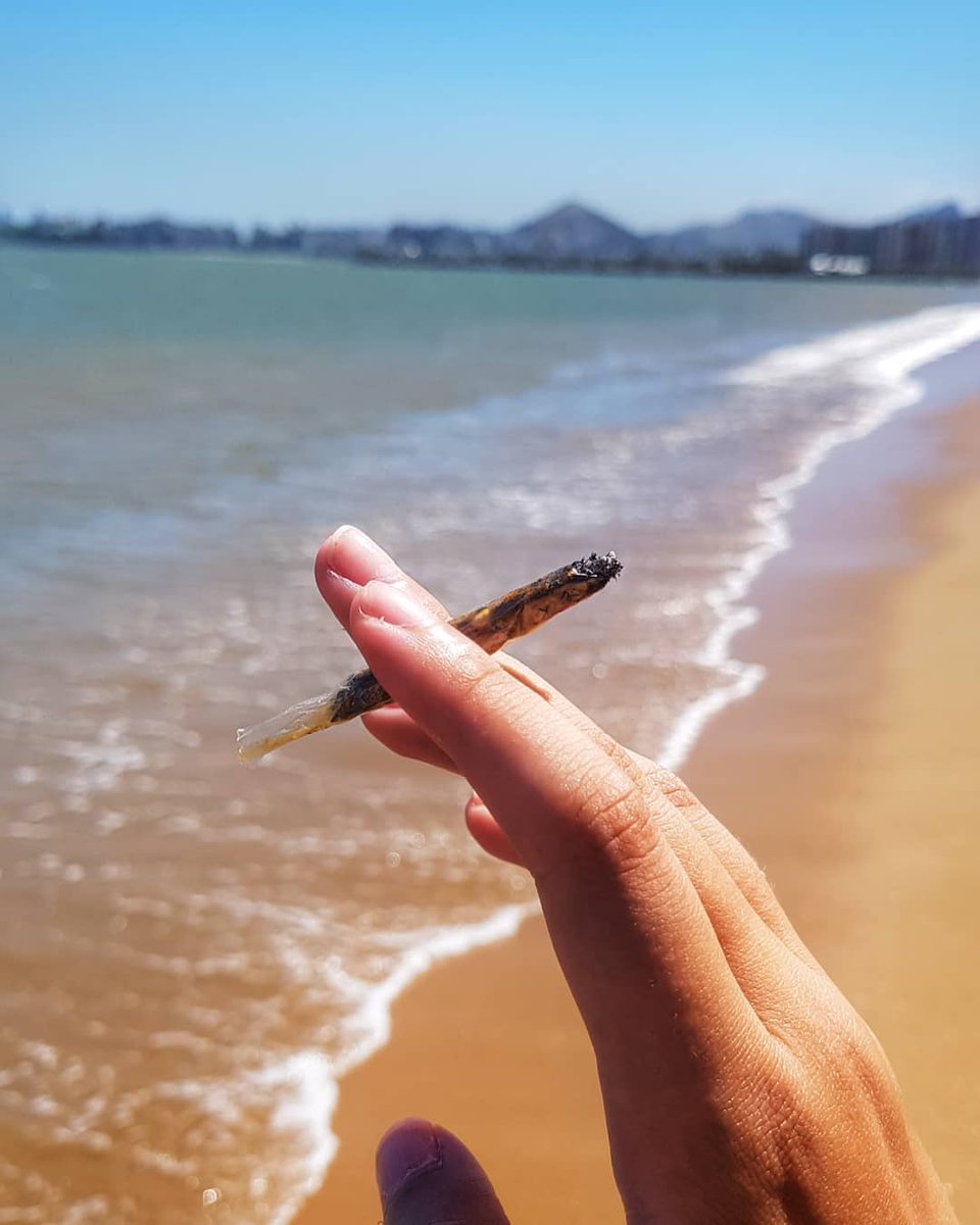 weedydotcom's tweet image. while in Chicago is a bit cold we&apos;re dreaming about summer 
#marijuanamodels #marijuana #marijuanababes #marijuanagram #marijuanamania #marijuanamovement #marijuanna #marijuannamodels