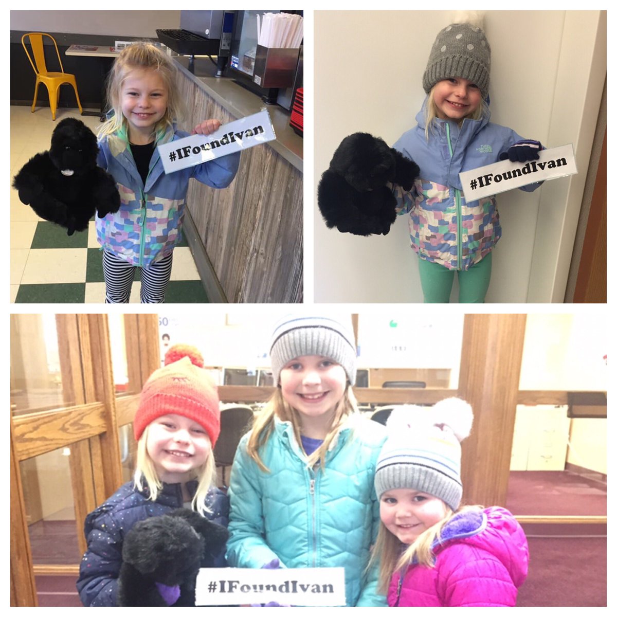 Coach4Wildcats's tweet photo. Braley is becoming pretty good at this finding Ivan business! @janessafletcher #IFoundIvan #OneBookOneSchool #CarlisleElementary https://t.co/hpJRp2yjop