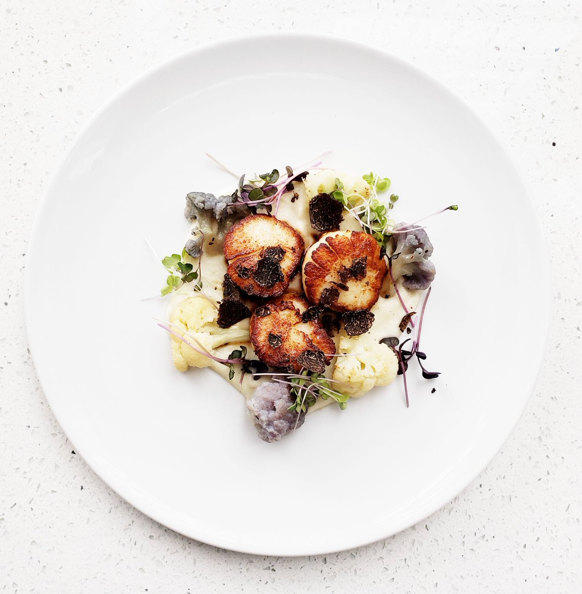 New Menu Feature: #Scallop with #Tahitianvanilla, #cauliflower to ways and #winterblacktruffle @HiltonMarkham #essenceofunionville #Markhamfood #Markhamfoodie #Hiltondining #Hiltonrestaurant #jitingaba #santoshmiriyala