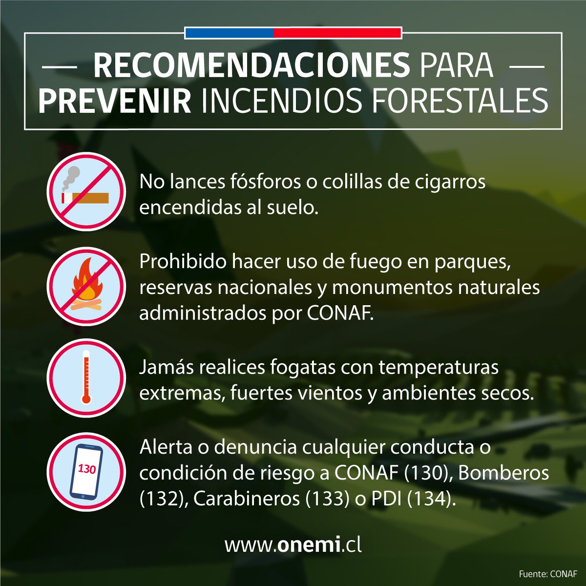 MDSLosRios's tweet photo. ➡️El país hoy cuenta con una fuerza de combate para reaccionar rápida y oportunamente ante el inicio de un incendio forestal 🌲🌳, pero prevenir un incendio 🔥 forestal es más fácil que combatirlo. #ChileEnMarcha #ChileLoProtegemosTodos https://t.co/AD3LL5MfTO