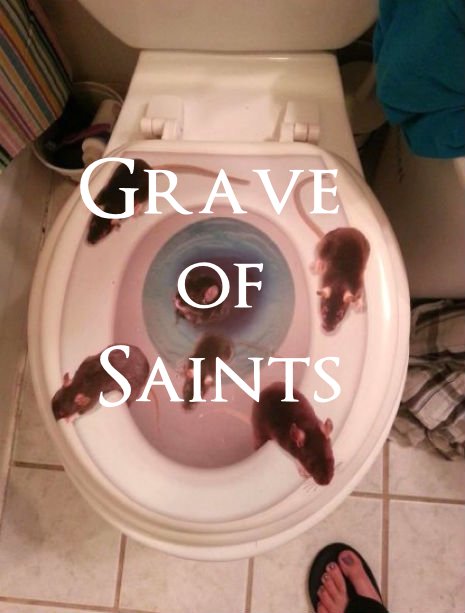DyRDBcUXcAANlCE?format=jpg&name=small
