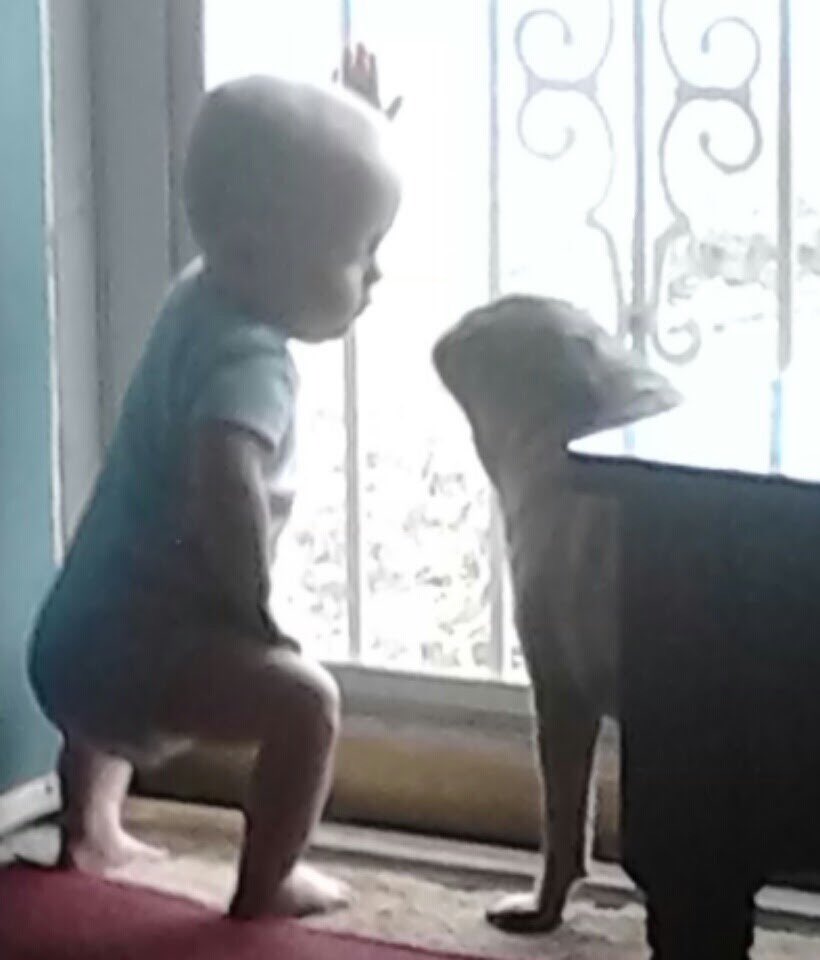 ThugPugMom's tweet photo. #ThrowbackThursday December 2016. #ThugPug and our grandson #stillbestbuds #thoughtsontheconversation #doiwanttoknow @MommyAndMoo @TrueLivePDFans @MuscuttRachel @MikeMuscutt @Beatlemaniac201 @Sxylilminx2 @Mslilgirl16 @barb5154 https://t.co/QaJ3Z9SBDT