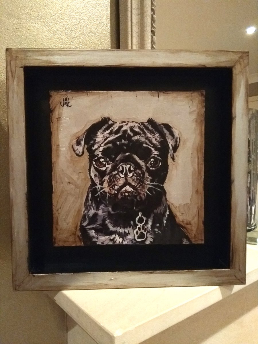 ashbysainteve's tweet photo. Dog Portrait - Barney 😍
#petportrait #petpainting #painting #dogsoftwitter #dogs #originalartwork https://t.co/pE6TSEyEKV
