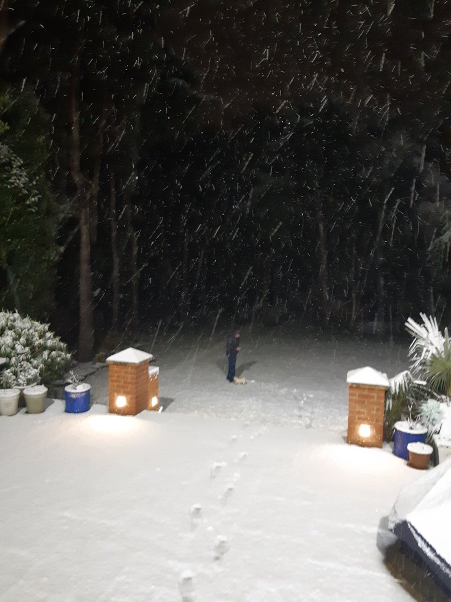 jus_butler's tweet photo. Puppies still need to go out! #firsttimeinsnow #Poole @Bournemouthecho https://t.co/XzgUCxkaKc