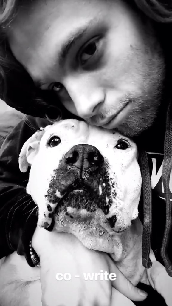 i would like to yell at him please