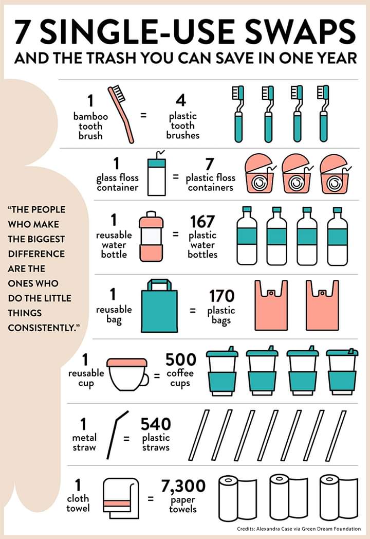 7 Single-Use Swaps! Make a difference and make the swap today! #PlasticPollution #SaveThePlanet #MakeTheSwap #Environment #NoMoreSingleUse #TimeForChange