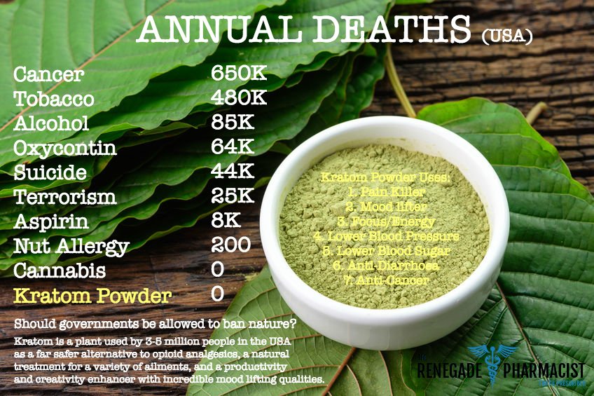 webmasterbekkah's tweet photo. I love Asian Tea 🍵🍵🍵 A combo of Green Vein &amp; Red Vein helps immensely with joint &amp; energy support when I flare up #Kratom #IAmKratom #TauntonTribe @Tauntonbaysoap #Tea #Herbs #Arthritis #RheumatoidArthritis #ChronicPain #chronicillness https://t.co/z6LS8o9fJu