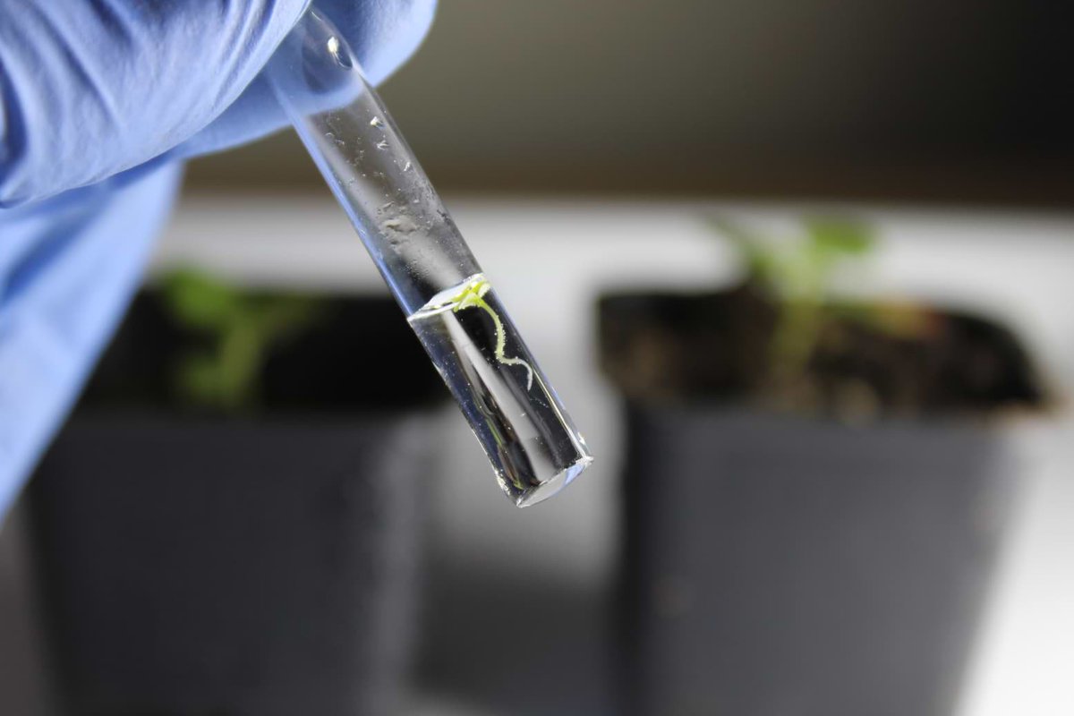 I know Facebook is the place for family photos, but I'm such a proud daddy that I can't help myself.
So here is a picture with my son, Paulo Wnia: (he is a sucker for #carbon and promises to help me to my part in reducing my #carbonfootprint )