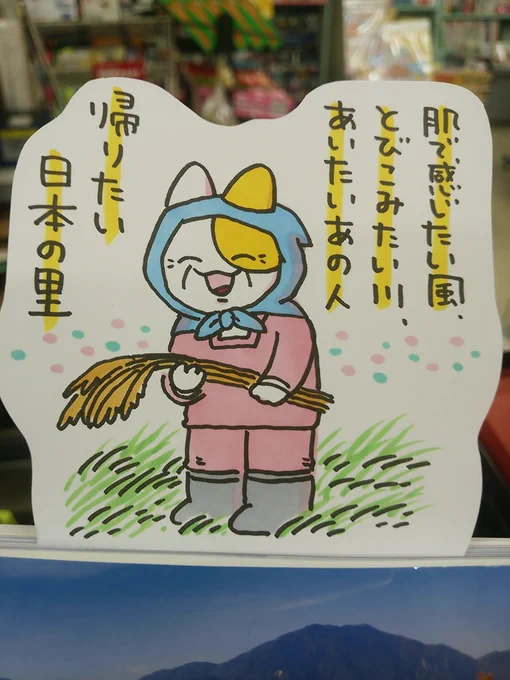 本日紹介する書籍は「日本の美しい里の絶景」です。鏡のように景色を映した田んぼ、ヒマワリ畑、夜の海、山ほど実った柿の木・・実際に行ったことはない場所もあるはずなのに、どれを見ても切ないくらい懐かしい「里の写真集」。田舎に行くとその景色に胸がキュンとする方に手に取ってほしい一冊です。 