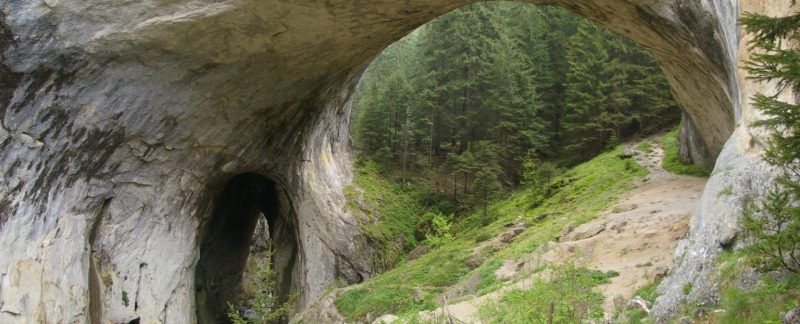travlyng's tweet photo. Are you going to #visit #Bulgaria? We loved the #Blog from https://t.co/jpXSibqdUh @feetmeanttoroam
#Armed with a #basic #map and keen to get off the beaten path, Arnie and I had a brilliant plan to walk from #Chepelare to the ...
That day I got lost in the #Bulgarian #woods https://t.co/vLZAT6Rce4