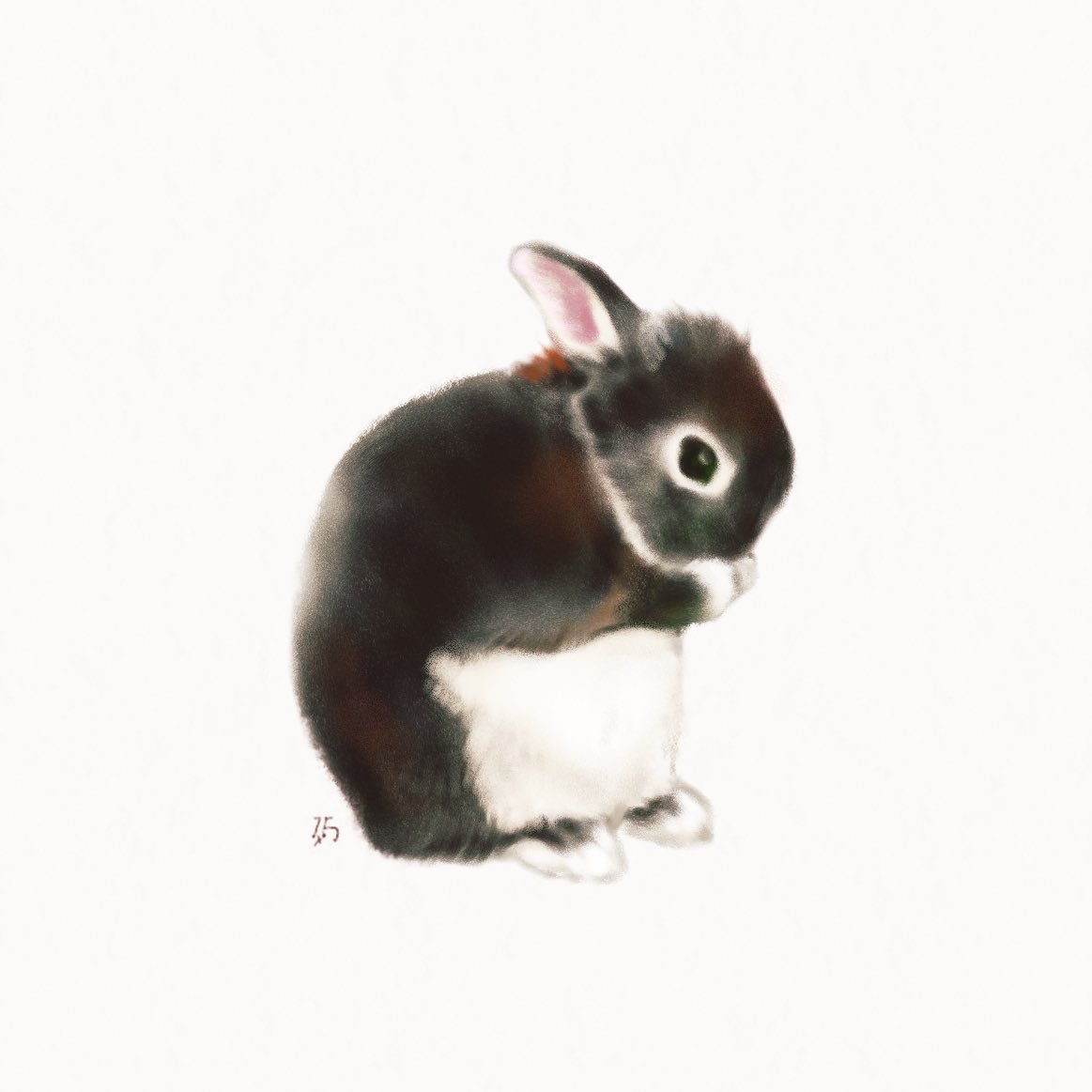 大賀一五 かわいくてずっと見てたらうさぎさんが気にして私をつつき踏み横で寝ました かわいいものをみてリアルでも幸福が訪れた なんていい絵だ 大賀一五 かわいくてずっと見てたらうさぎさんが気にして私をつつき踏み横で寝ました かわいいものをみてリアルでも幸福が訪れた なんていい絵だ