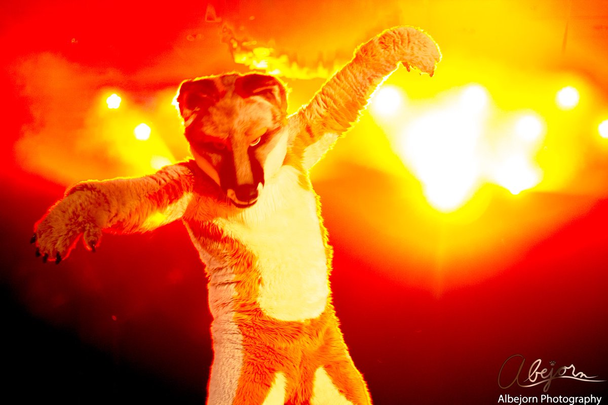 albejorn's tweet photo. HUGE props to #fursuiters that can convey so much emotion with their suits on the dance floor!
Today, featuring @Reo_GrayFox , @VancouFUR 2018.
π·@Albejorn
#VF2018 #Fursuit #Furry #Dance #FurryFandom #FursuitEveryDay 30/365 https://t.co/6e1tcVJdUU