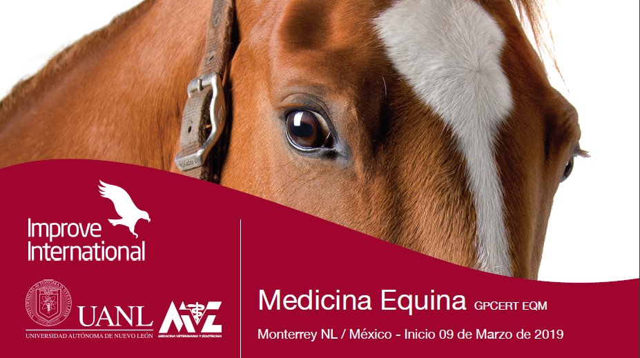 El Posgrado de Medicina Equina es un programa general y completo para veterinarios que trabajan en esta área específica. Contáctanos por email a info.mx@improveinternational.com, por teléfono (81) 81044619, o visita nuestra página web improveinternational.com
