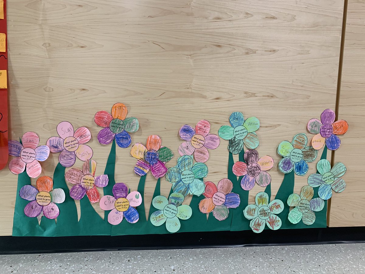 ms_pepito's tweet photo. How does your garden grow? 🌸🌼@VictoryVillaes https://t.co/ye7y08WE0M