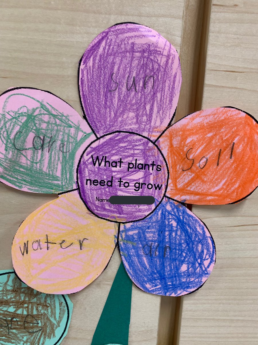 ms_pepito's tweet photo. How does your garden grow? 🌸🌼@VictoryVillaes https://t.co/ye7y08WE0M