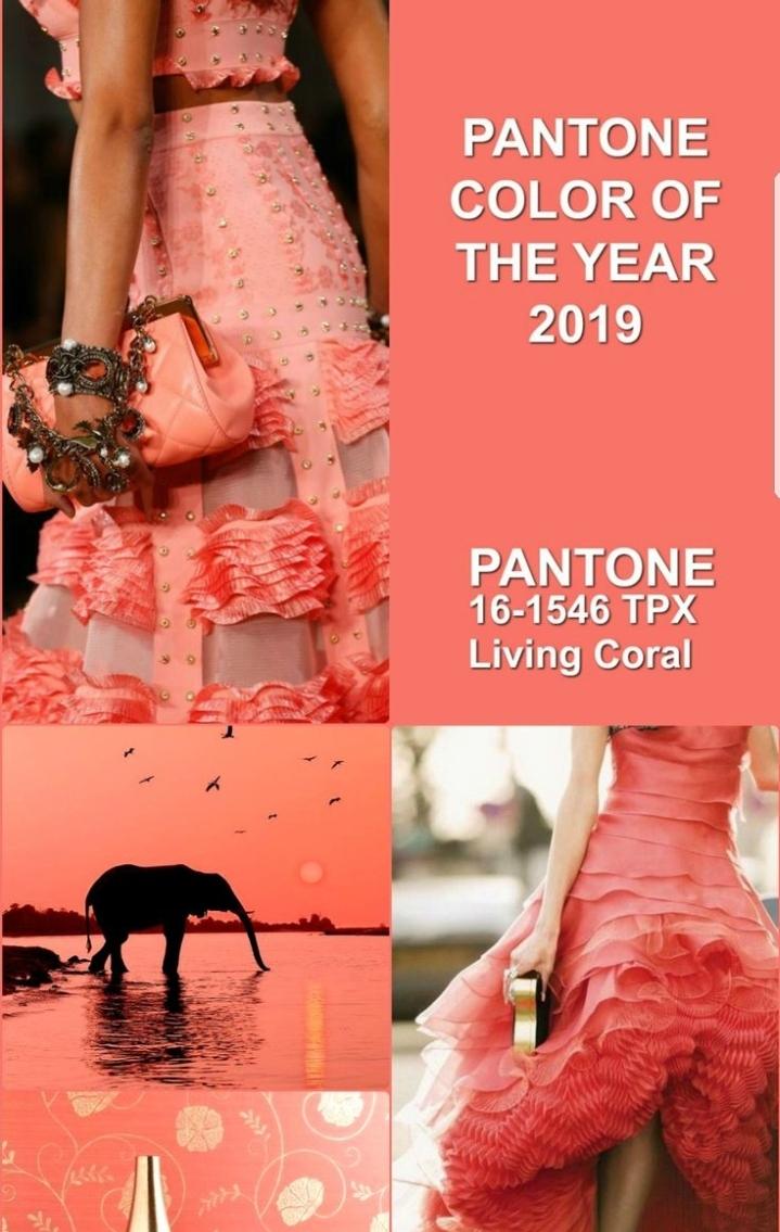 Kleur van die jaar vir troues 2019 - fabulous Pantone! Wat dink jy van die kleur?

The wedding color of the year - fabulous Pantone! What do you think of it?

Image credit: Pinterest