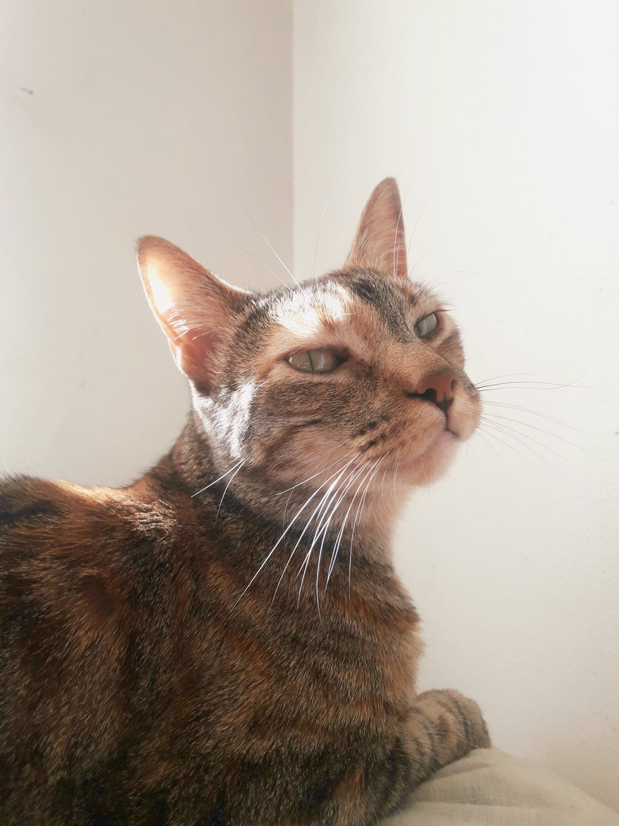 crazyseso's tweet photo. @clubgaterogrupo Soy diseñadora y fotógrafa oficial de #Lilipop!!!! 😍uuuuu si es tan lindaaaaaa
@SAFC197108 @Ameliepetit12 https://t.co/HNoXEb1qOj