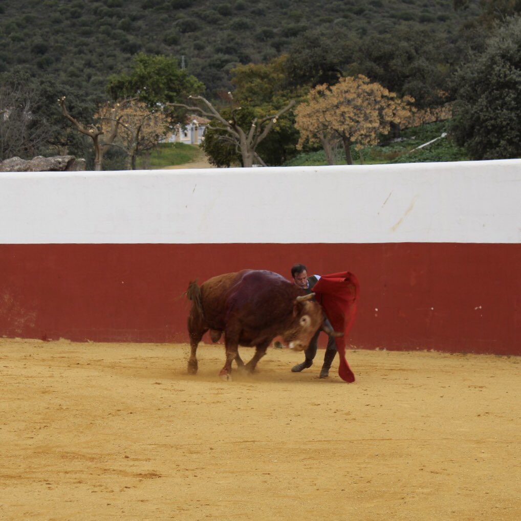 Gran día de entrenamiento cara la temporada 2019, hoy en la ganadería de Toros de la Plata, donde Jesuli De Torrecera ha tentado y a matado un toro que le ha servido para continuar con su invierno de preparación. El tentadero lo compartió junto al torero Filiberto.