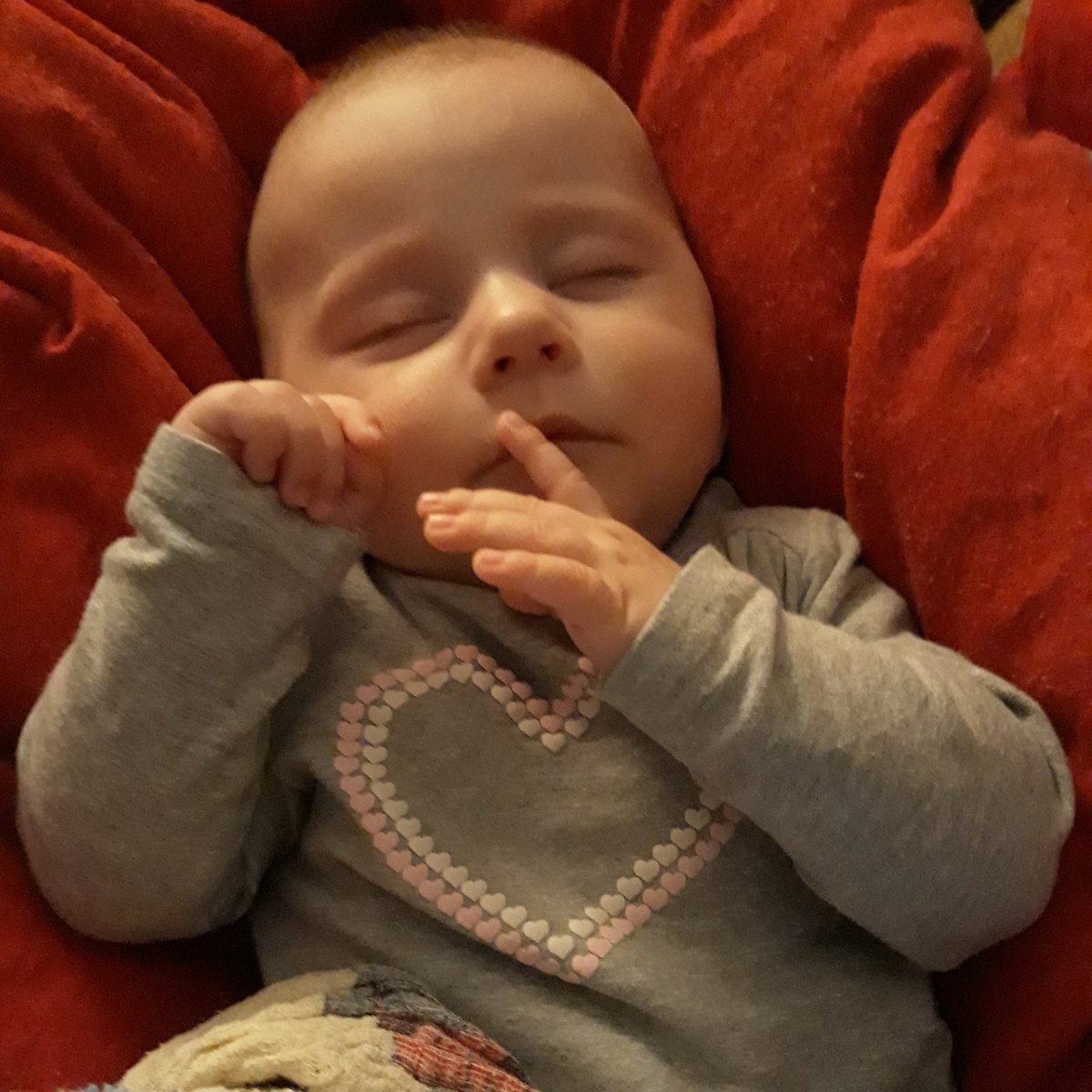 Schnapsi3's tweet image. #NeuesProfilfoto