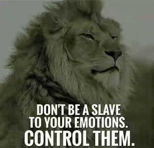 AnnMarieSabath's tweet image. #dontbeaslave #controlyouremotions
#whatselfmademillionairesdo
#annmariesabath