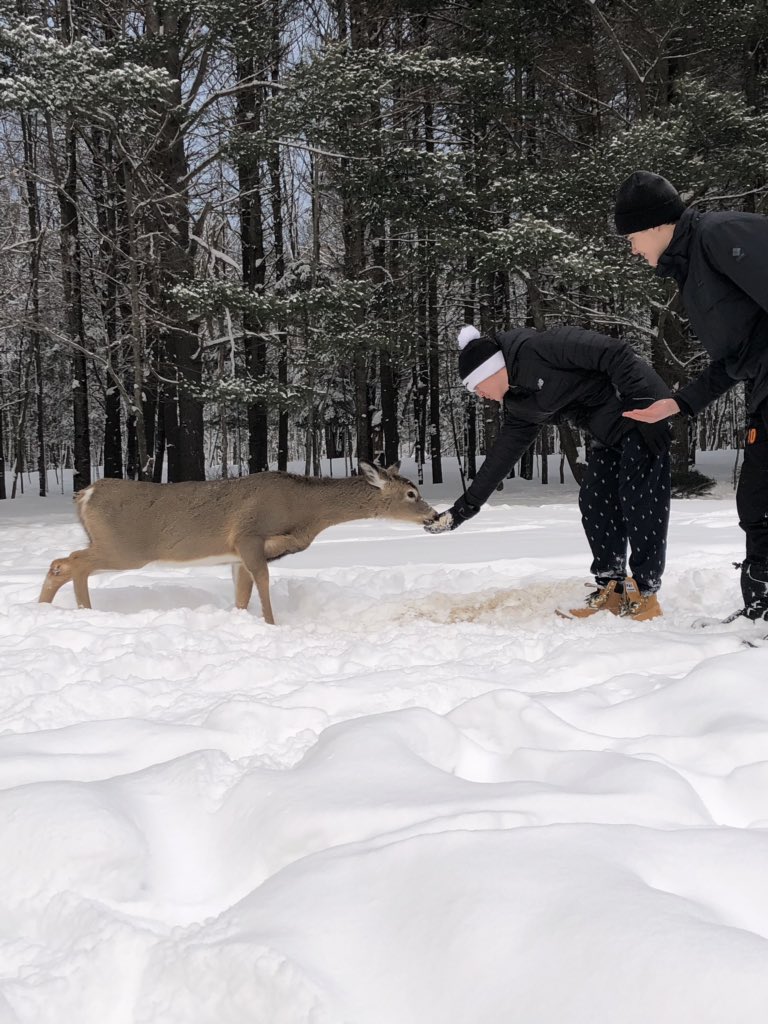 MisterW22's tweet photo. At one with nature. Students feeding the locals.@HillcrestMS1 #donnerandblitzen https://t.co/4IRgMv9Mm7