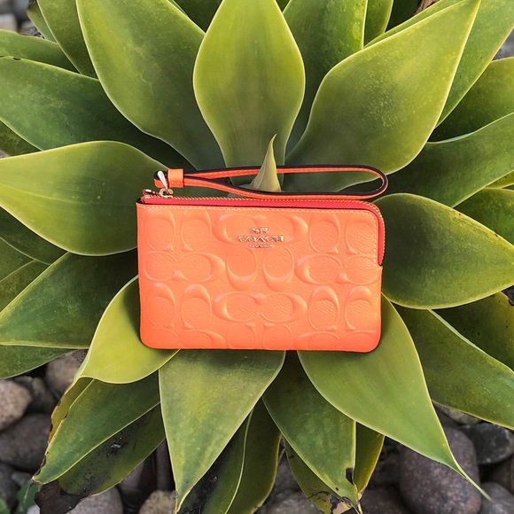 Manda_Lee_Smith's tweet photo. So good I had to share! Check out all the items I'm loving on @Poshmarkapp #poshmark #fashion #style #shopmycloset #coach #abercrombiefitch: https://t.co/7zYQCgAZDq https://t.co/npU6mMcKMV