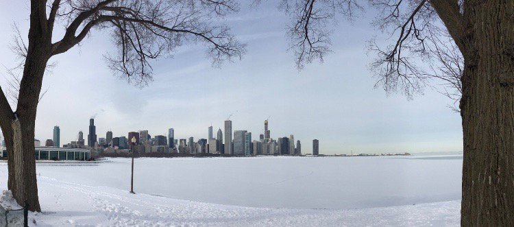 Virginia K Carruthers Orlina tweet media