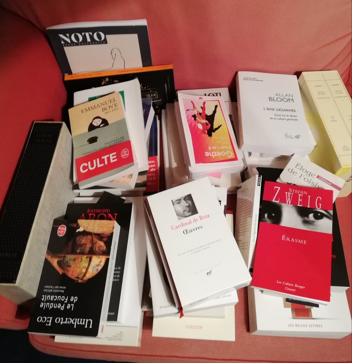gonzaguebc's tweet photo. 7 couvertures de livres en 7 jours - Invité par @clara_bamberger, je tords la règle en partageant cet instantané de mes hôtes du moment. https://t.co/acFP2m15Rw