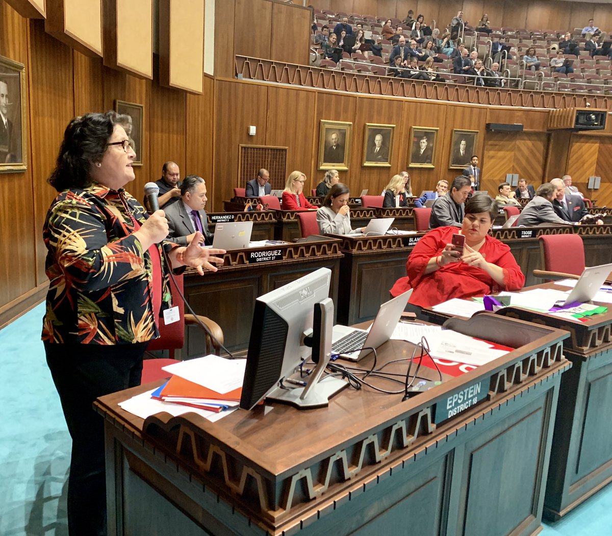 AZHouseDems's tweet photo. Rep. @MitziEpstein fighting for her amendment to fully conform with federal tax conformity (agreeing with Gov. Ducey). Goes down on party lines. GOP pushing another yet another tax cut while AZ schools &amp; roads fall into disrepair. #HB2522 #AZLeg https://t.co/n1GXebQqWp