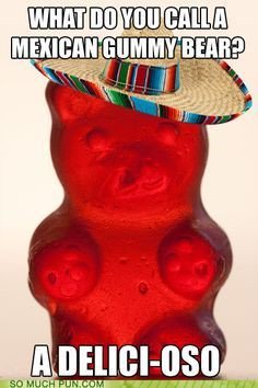 ProfePlatz's tweet photo. oh so funny .... ¡oso! https://t.co/3POn9yQRK8