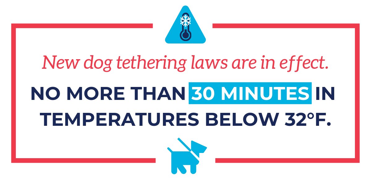 GovernorShapiro's tweet photo. Pennsylvania is still experiencing arctic temperatures. Please remember to keep your pets safe. 
 
Under Pennsylvania law, dogs may be tethered for no more than 30 minutes in temperatures under 32 degrees. #PolarVortex https://t.co/EWmgMyMxA8
