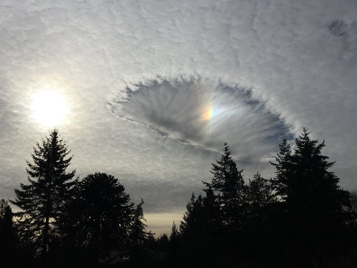 Meteovargas's tweet photo. Un agujero entre las nubes, fenómeno conocido como Fallstreak Hole, capturado por Ben Ellis hace dos días desde Lynden, WA, EE.UU. https://t.co/sRaSOiatm0