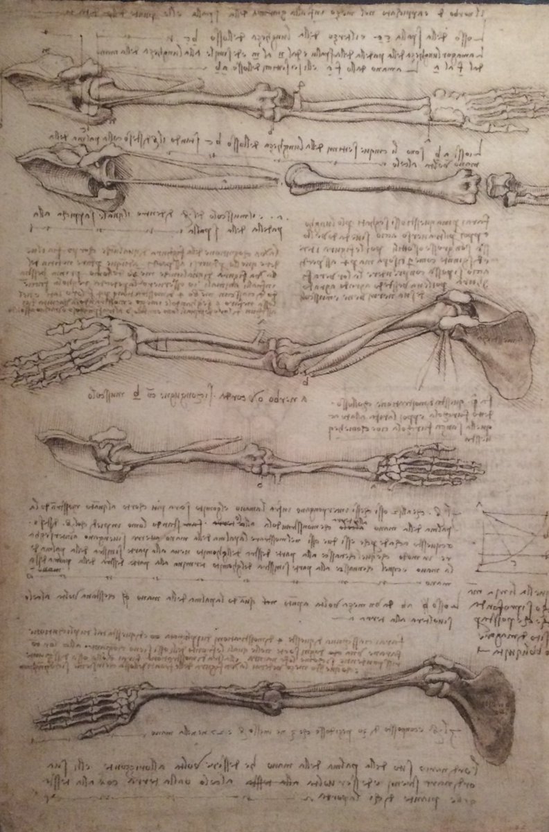 catrin_curates's tweet photo. Escaping the snow and enjoying amazing Leonardo da Vinci drawings tonight @bristolmuseum 

#alifeindrawing #drawings #leonardo #leonardodavinci #bristolmuseum #royalcollection https://t.co/ZuUzHPMfjd