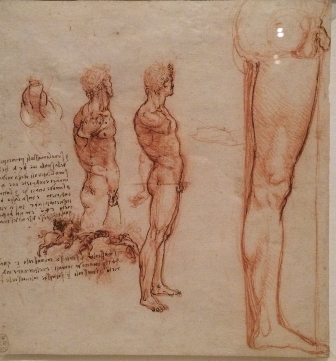 catrin_curates's tweet photo. Escaping the snow and enjoying amazing Leonardo da Vinci drawings tonight @bristolmuseum 

#alifeindrawing #drawings #leonardo #leonardodavinci #bristolmuseum #royalcollection https://t.co/ZuUzHPMfjd