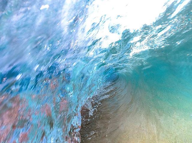 Corey Mount tweet media